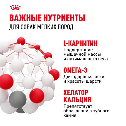 Cухой корм Royal Canin Mini Adult (МИНИ ЭДАЛТ) 2 кг